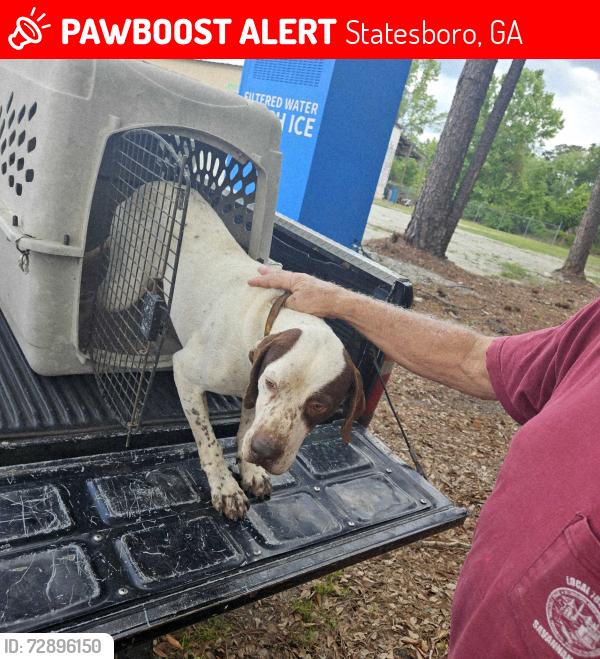 Found/Stray Male Dog last seen River Bend Rd , Statesboro, GA 30461