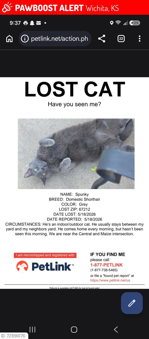 Lost Male Cat last seen Subdivision at Central and Maize , Wichita, KS 67212