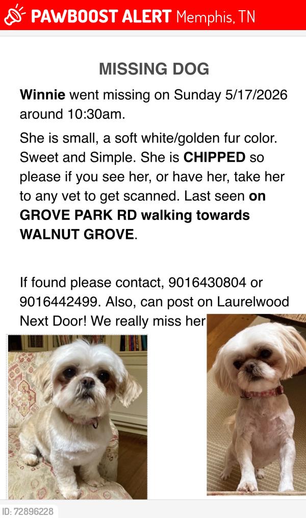 Lost Female Dog last seen South Grove Park, Memphis, TN 38117