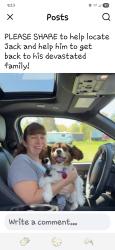 Lost Male Dog last seen Seward and route 79, Windsor, NY 13865