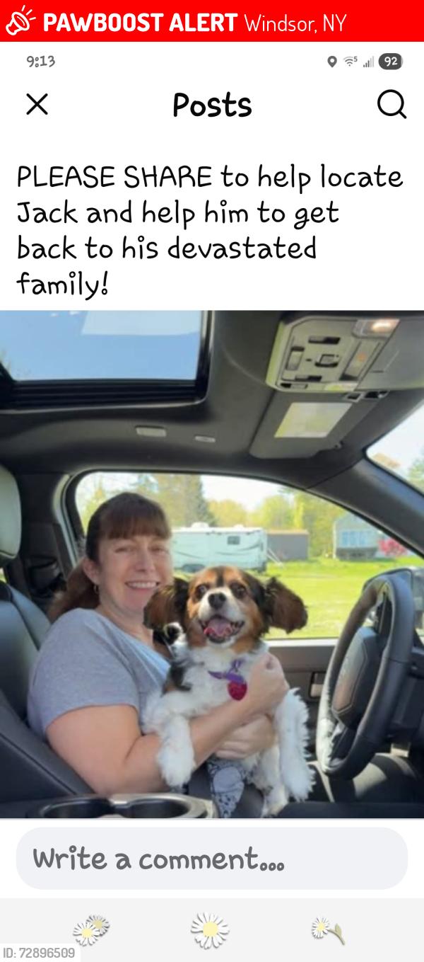 Lost Male Dog last seen Seward and route 79, Windsor, NY 13865