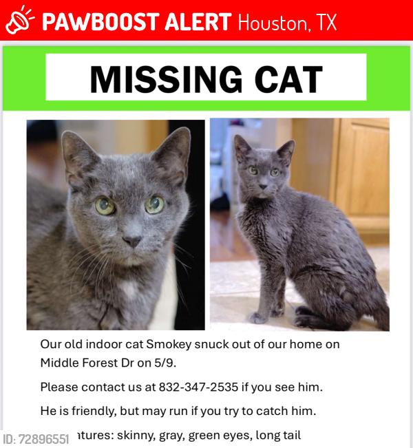 Lost Male Cat last seen Walnut Pond Dr, Houston, TX 77059