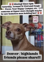 Lost Female Dog last seen Osage st & 34th Ave, Denver, CO 80211