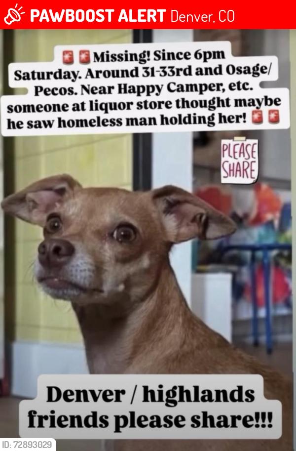 Lost Female Dog last seen Osage st & 34th Ave, Denver, CO 80211