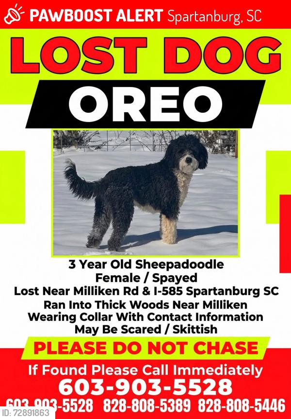 Lost Female Dog last seen Metromont, spartanburg, Spartanburg, SC 29303