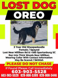 Lost Female Dog last seen Metromont, spartanburg, Spartanburg, SC 29303