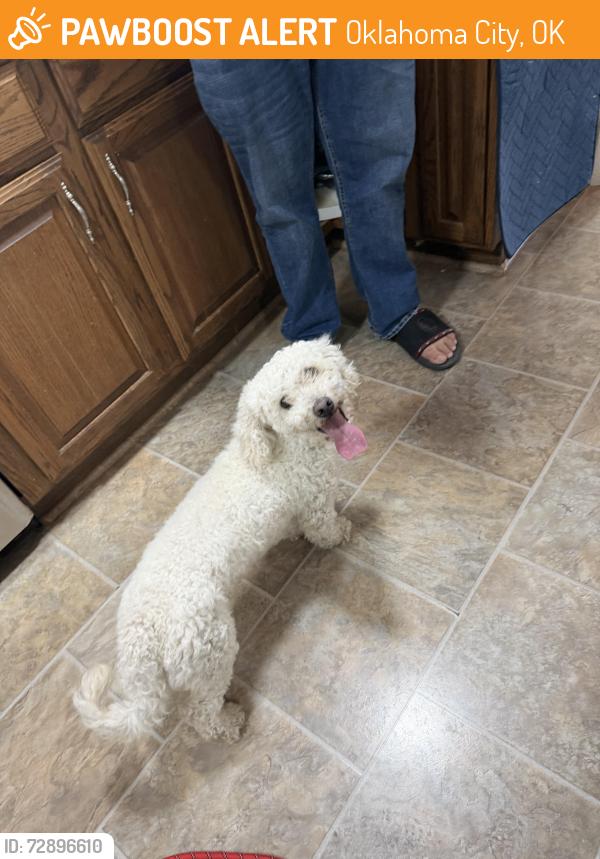 Found/Stray Male Dog last seen Nw may, Oklahoma City, OK 73107