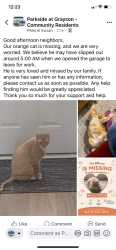 Lost Male Cat last seen High Fall, Grayson, GA 30017