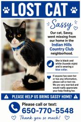 Lost Female Cat last seen My hse, Marietta, GA 30068
