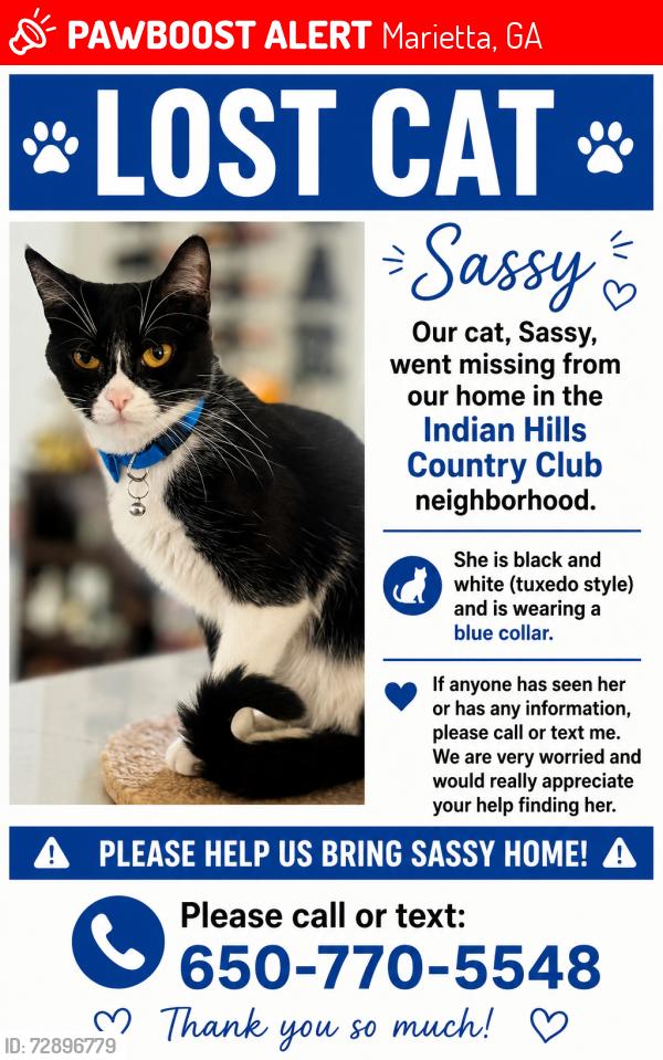 Lost Female Cat last seen My hse, Marietta, GA 30068