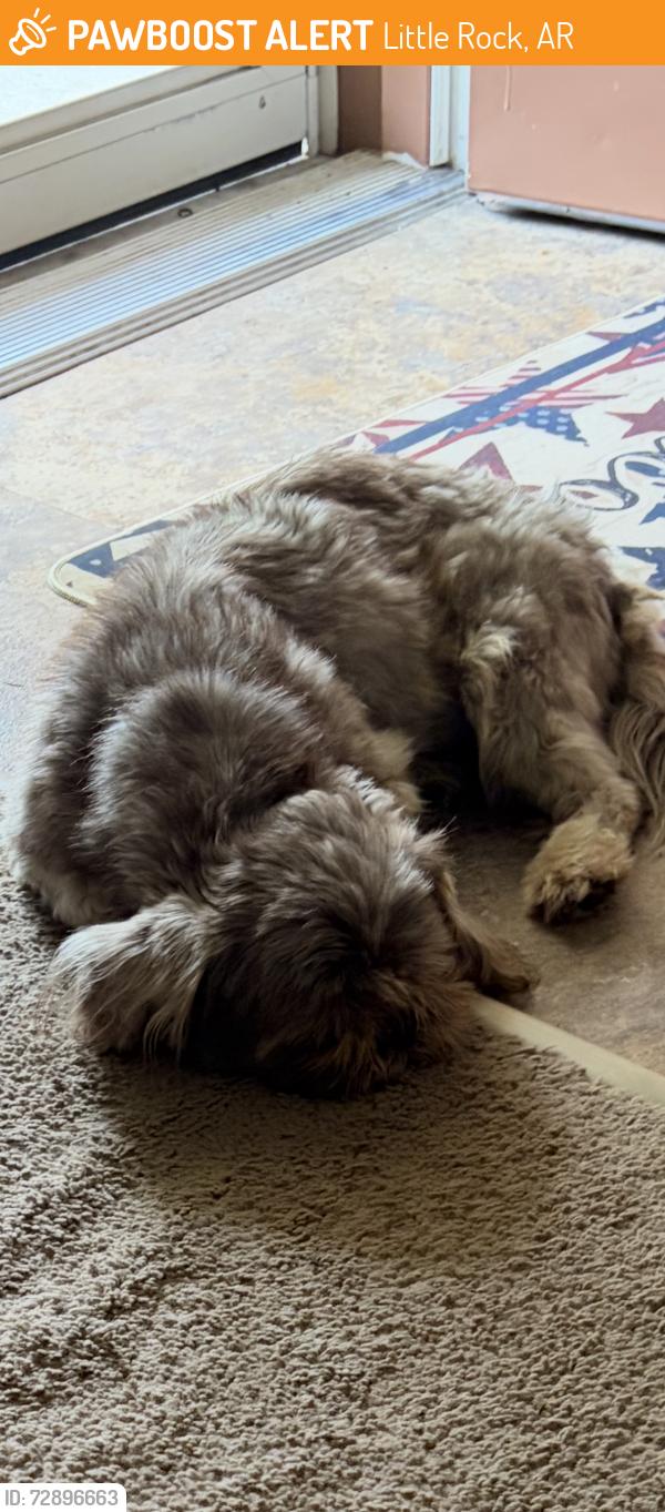 Found/Stray Male Dog last seen 1.1 miles from Kanis Rd. down Aldersgate Rd., Little Rock, AR 72205