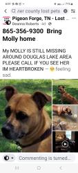 Lost Female Dog last seen At the end of culdasac/ swimming  hole at Douglas lake behind the cement barrier  swimming with a family and kids says a witness was possibly taken she's very friendly  and social , Sevierville, TN 37876