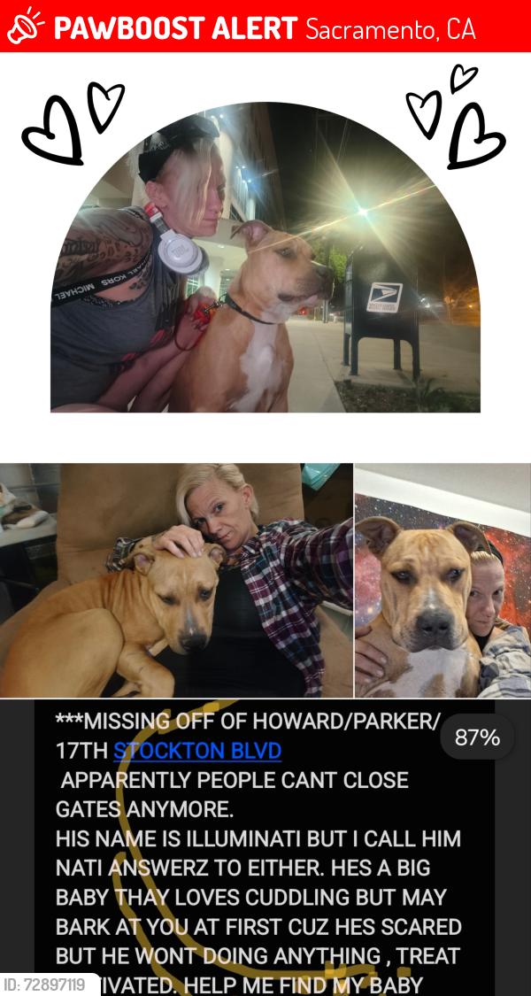 Lost Male Dog last seen Howard Parker stockton , Sacramento, CA 95821