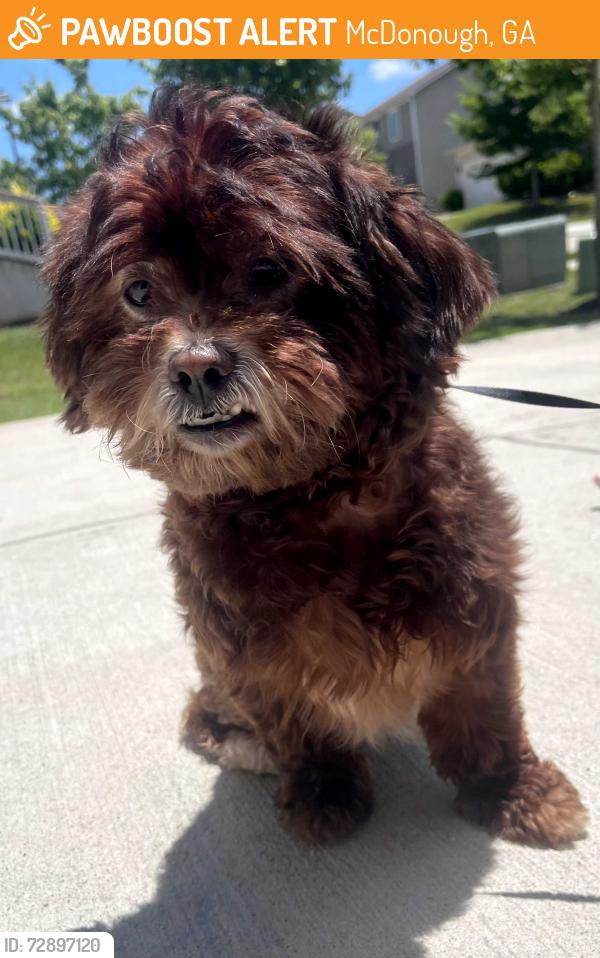 Found/Stray Male Dog last seen Betty Louise Parkway and Ivey Edward's Lane, McDonough, GA 30253