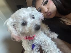 Lost Female Dog last seen Near road 5705 , Cleveland, TX 77327