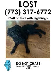 Reunited Female Dog last seen Near West 87th St oaklawn IL , Burbank, IL 60459