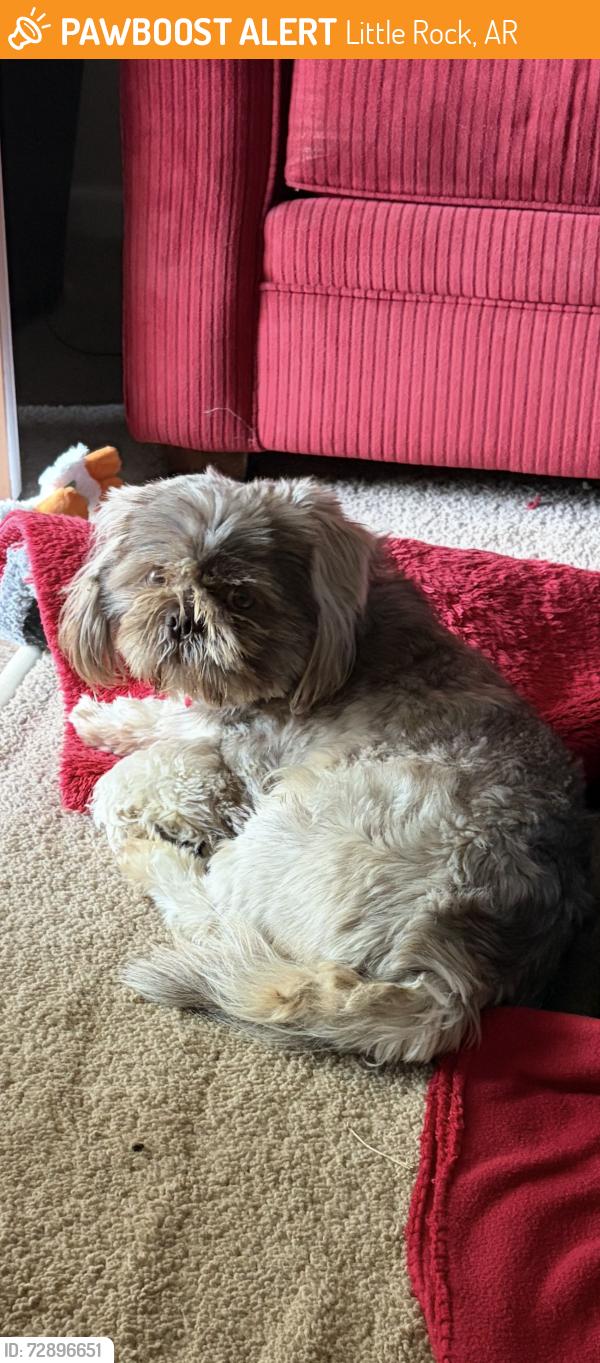Found/Stray Male Dog last seen 1.1 miles from Kanis Rd. down Aldersgate Rd., Little Rock, AR 72205