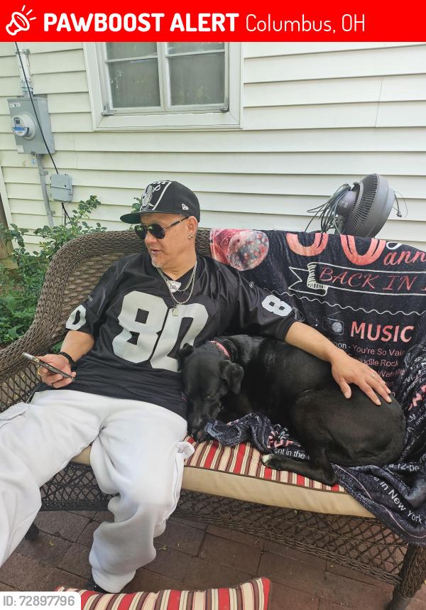 Lost Female Dog last seen Henderson rd. Bethel rd., Columbus, OH 43235