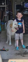 Found/Stray Female Dog last seen Drop Zone, Russell County, AL 36856
