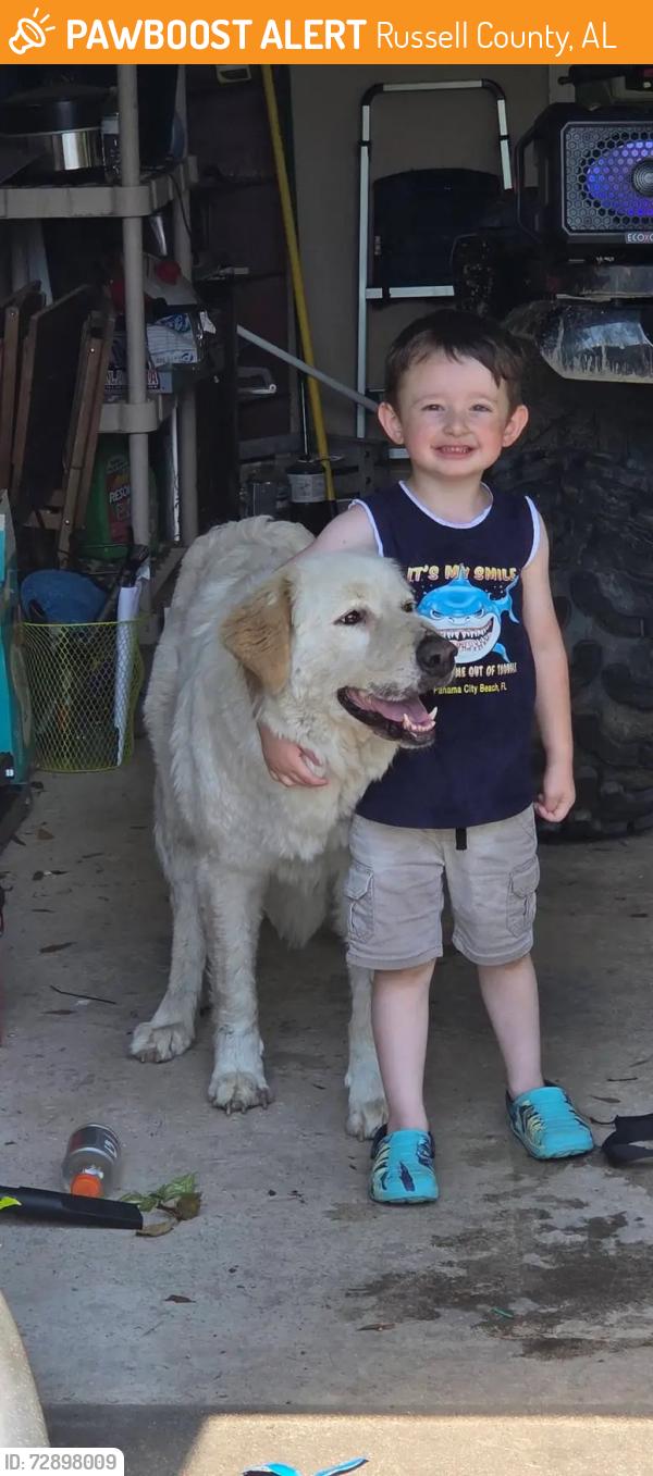 Found/Stray Female Dog last seen Drop Zone, Russell County, AL 36856