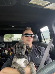 Lost Female Dog last seen Shepherd hill dr Willis tx, Willis, TX 77358