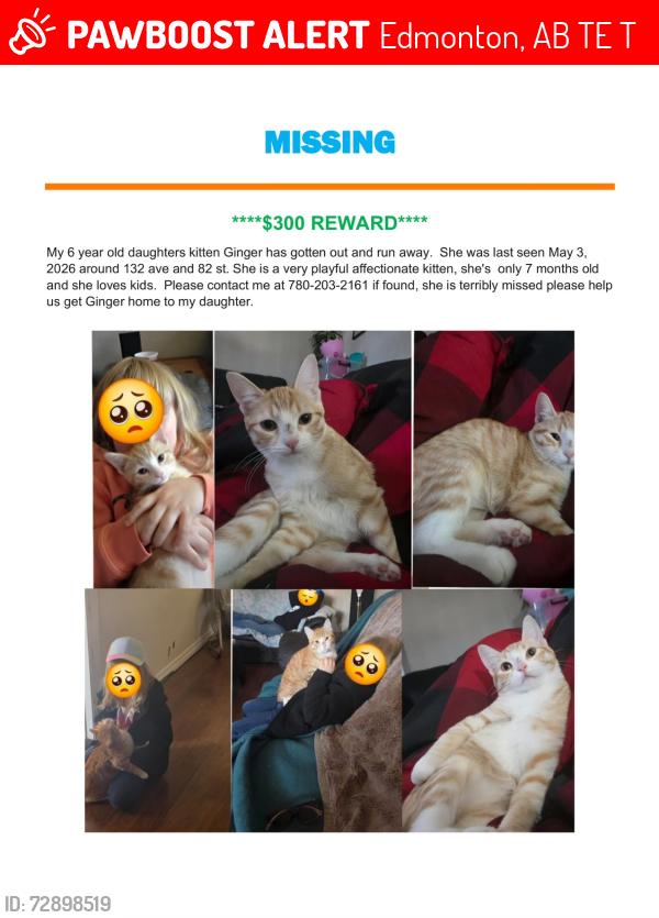 Lost Female Cat last seen Near ST and 133 AVE, Edmonton, AB T5E 2T8