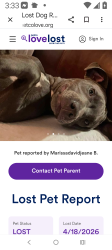 Lost Male Dog last seen WINGATE HOTEL PARKING LOT... TAKEN IN VEHICLE, Kansas City, MO 64161