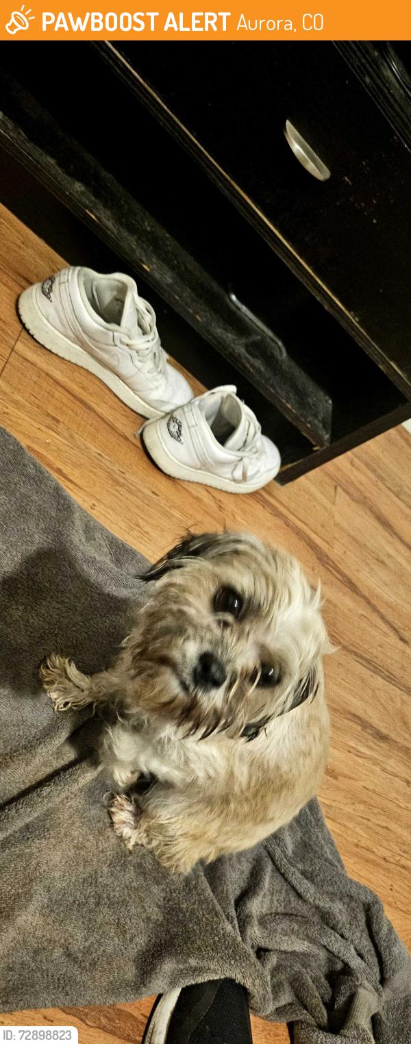 Found/Stray Female Dog last seen Kingston st & 25th, Aurora, CO 80010