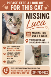 Lost Male Cat last seen Near Streeter st , San Antonio, TX 78233