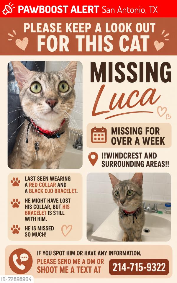 Lost Male Cat last seen Near Streeter st , San Antonio, TX 78233