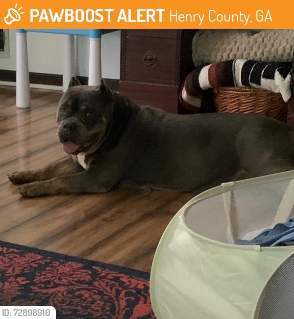Found/Stray Female Dog last seen Old Jonesboro Road, S. Bethany, Laney Dr, Locust Grove Ga, Henry County, GA 30248