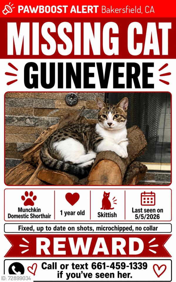 Lost Female Cat last seen SW Costco, Bakersfield, CA 93313