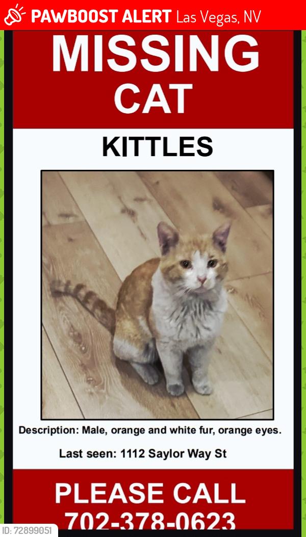 Lost Male Cat last seen Jones and Washington 89108, Las Vegas, NV 89108