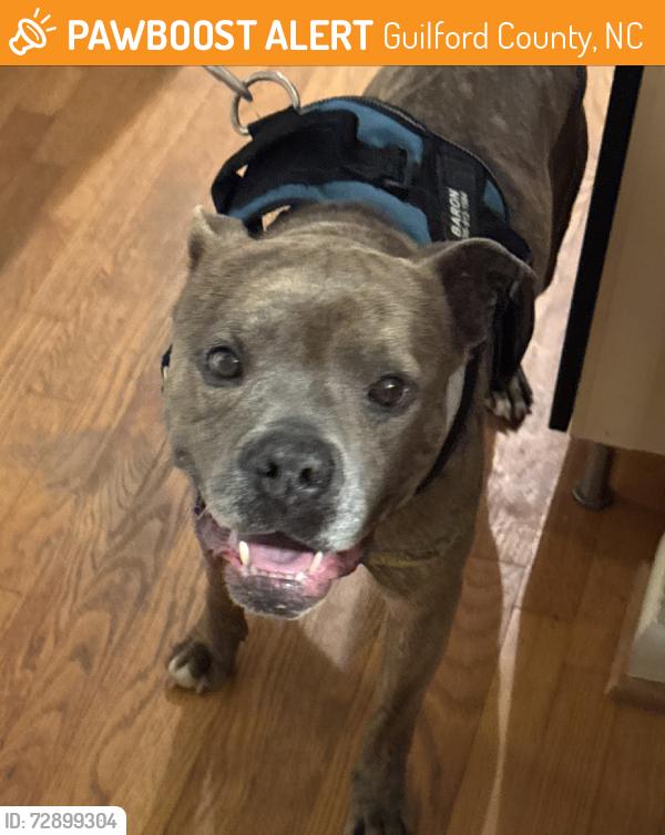 Found/Stray Male Dog last seen Farmgate and Southshore Rds, Guilford County, NC 27214