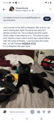 Reunited Male Cat last seen Acacia,Davis, Stafford , Pittsburgh, PA 15212
