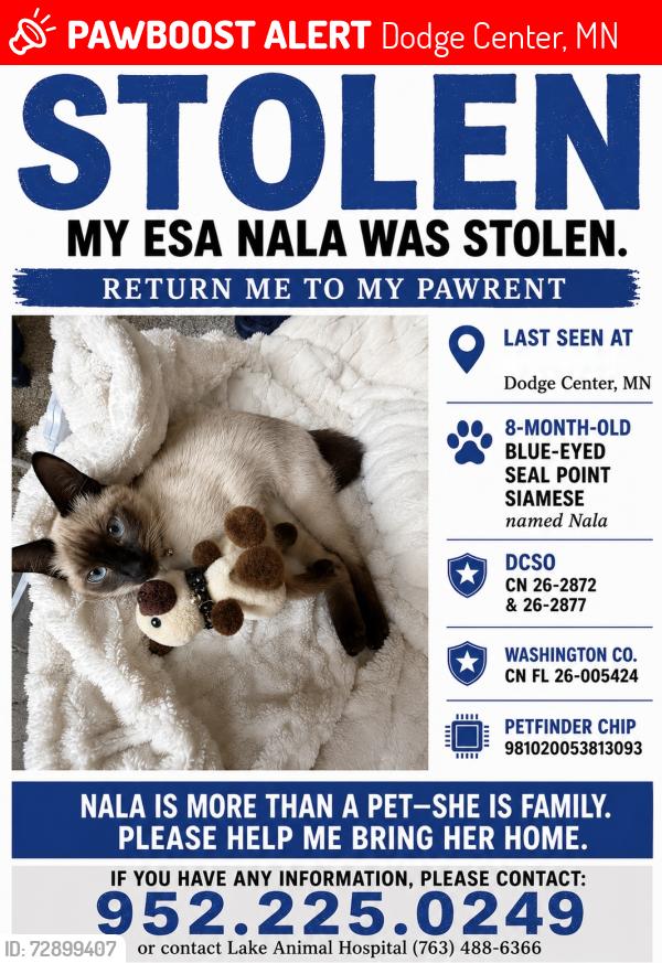 Lost Female Cat last seen Near 221 2nd st sw #304 , Dodge Center, MN 55927