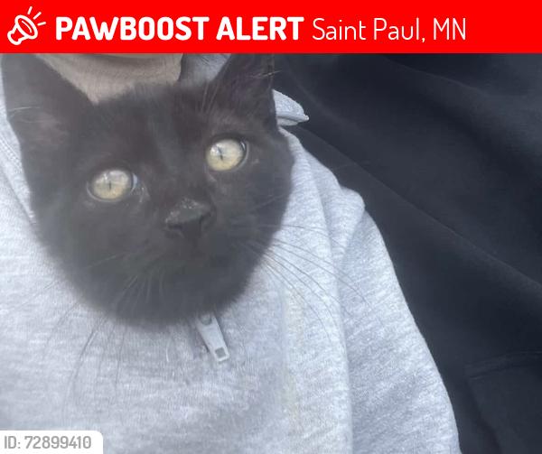 Lost Female Cat last seen Near Westminster St, Saint Paul, MN 55130