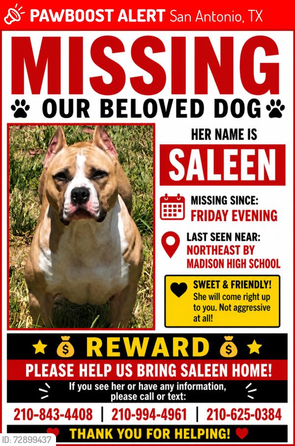 Lost Female Dog last seen Breezy And stahl rd , San Antonio, TX 78217