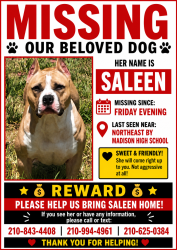 Lost Female Dog last seen Breezy And stahl rd , San Antonio, TX 78217