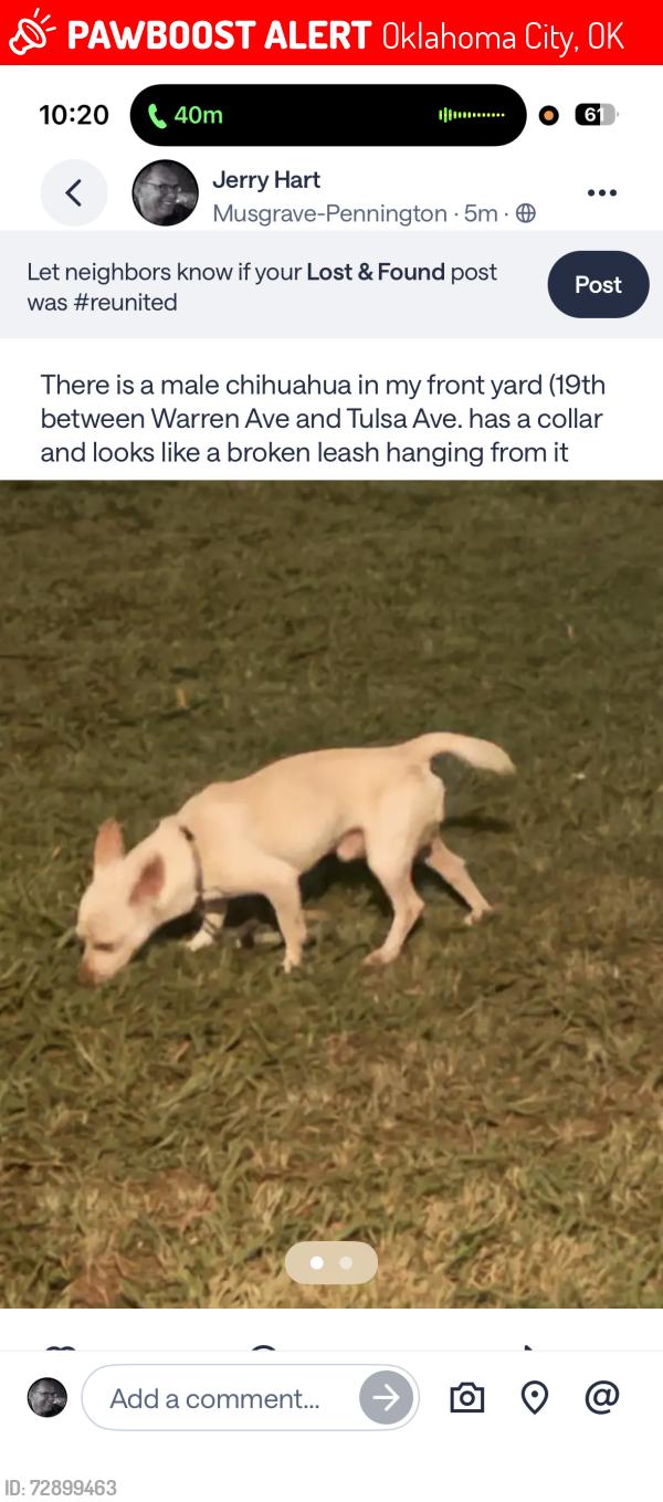Lost Male Dog last seen NW 19th st and Warren Ave and Tulsa, Oklahoma City, OK 73107