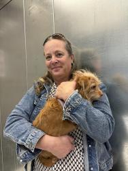 Reunited Female Dog last seen Civic Center Bart, San Francisco, CA 94102