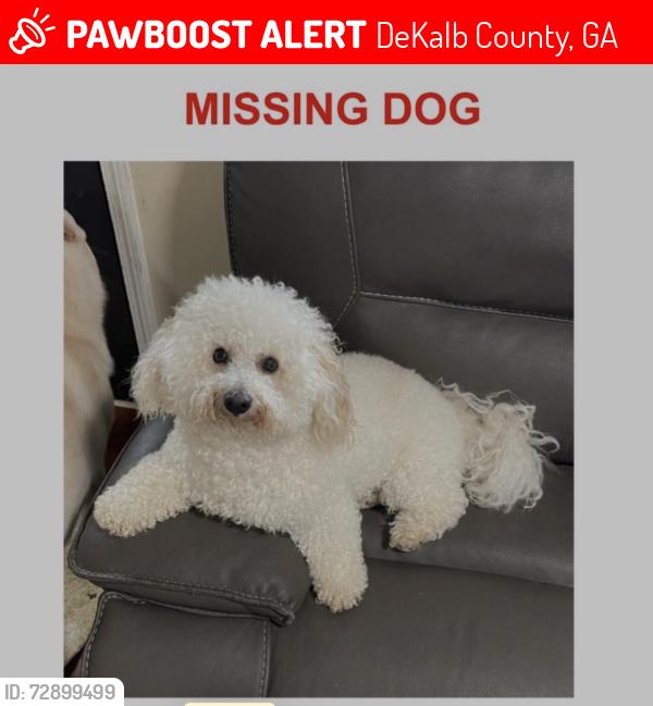 Lost Male Dog last seen Hairston Crossing Rd, DeKalb County, GA 30083