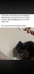 Lost Female Cat last seen elmerton ave , Progress, PA 17109