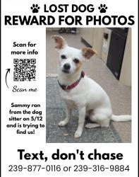 Lost Female Dog last seen Lafitte Greenway, New Orleans, LA 70119