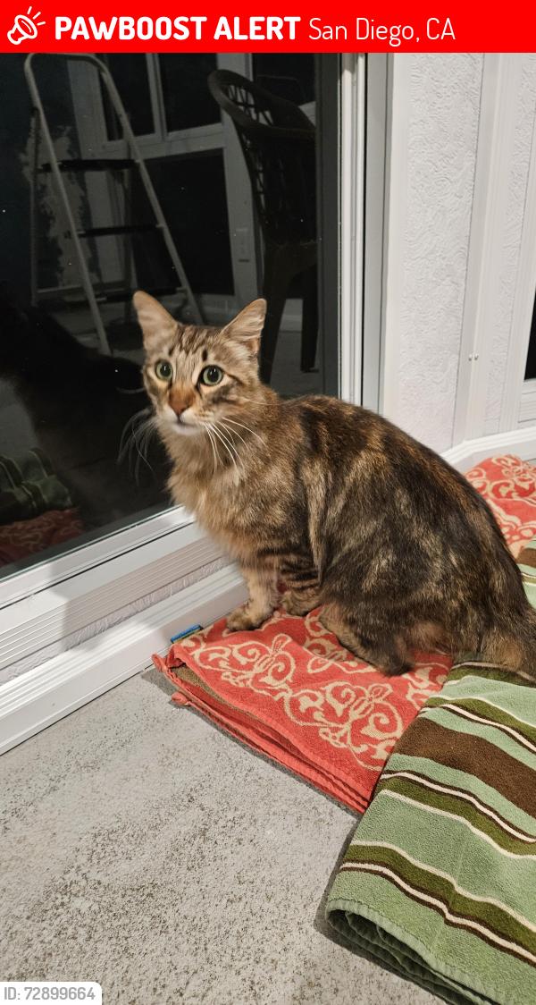Lost Unknown Cat last seen Pavlov, San Diego, CA 92122