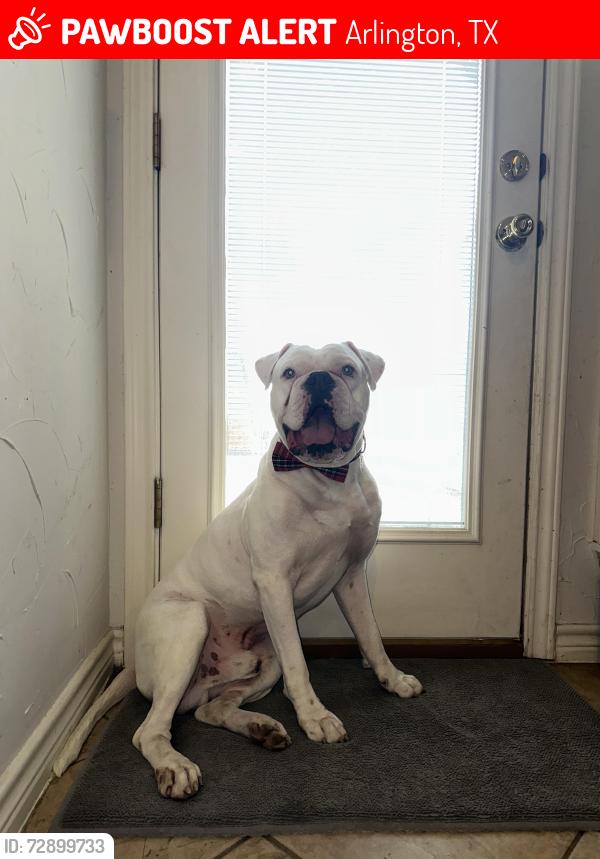 Lost Male Dog last seen Terrace Glen Dr, Arlington, TX 76018