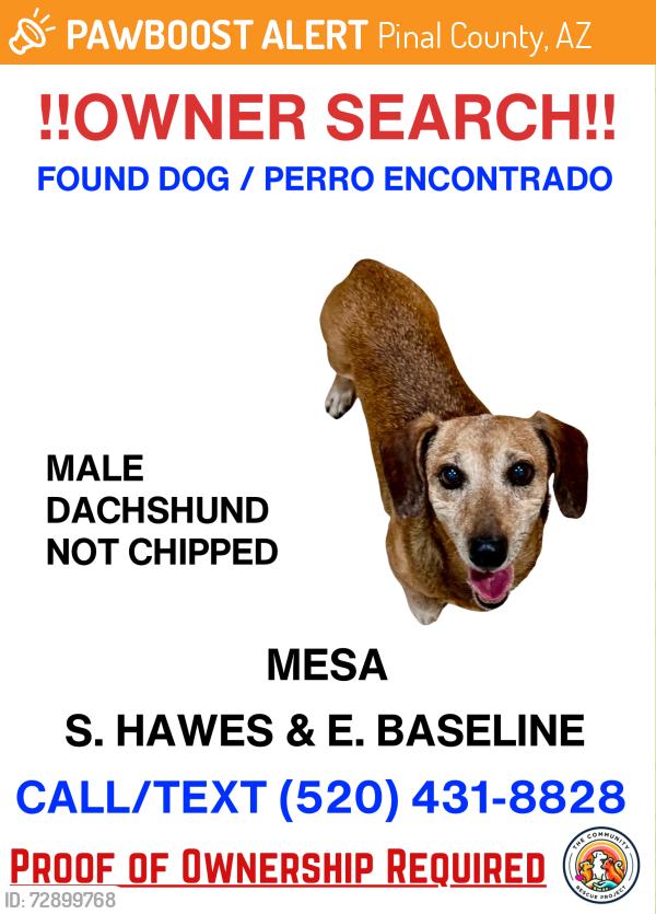 Found/Stray Male Dog last seen Baseline and hawes, Pinal County, AZ 85631