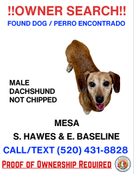 Found/Stray Male Dog last seen Baseline and hawes, Pinal County, AZ 85631