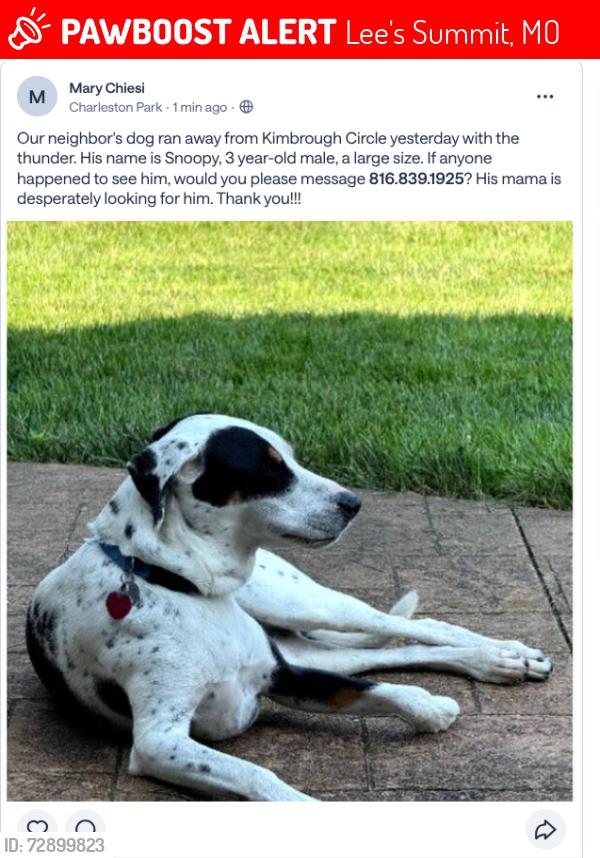 Lost Male Dog last seen Kimbrough Circle, Lee's Summit, MO 64063