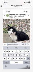 Lost Female Cat last seen Herle walk , Leicester, England LE3